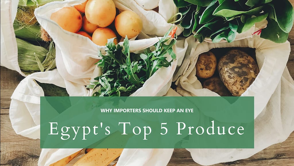 Top 5 Fruits and Vegetables Exported from Egypt