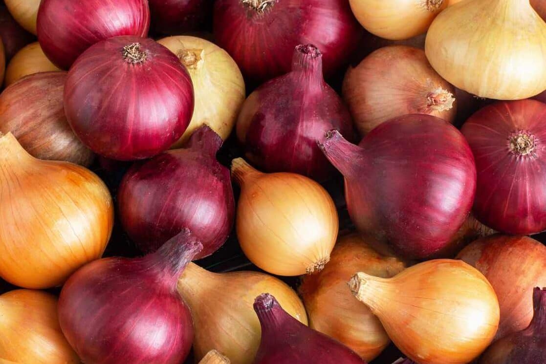 Unveiling the Superiority of Egyptian Onions in the Global Export Market