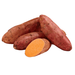 Sweet potato Egypt