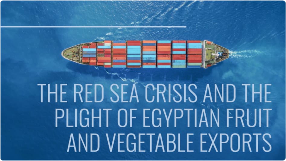 red sea crisis